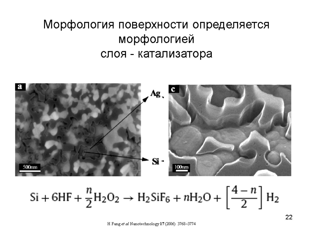 22 Морфология поверхности определяется морфологией слоя - катализатора H Fang et al Nanotechnology 17